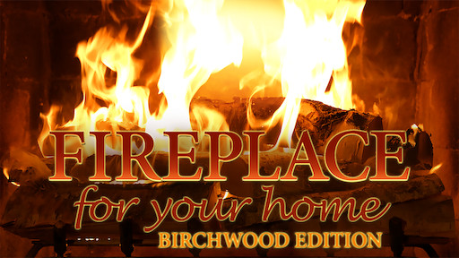 Fireplace 4k Crackling Birchwood From Fireplace For Your Home