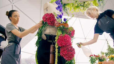 The Big Flower Fight Netflix Official Site The Big Flower Fight Netflix Official Site